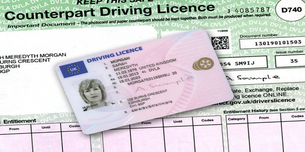 Driving Licence Delays