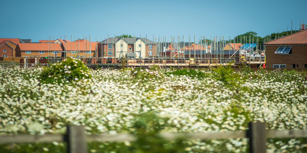 New Council Houses